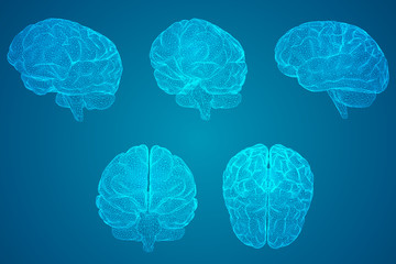 离我最近的违章处理点