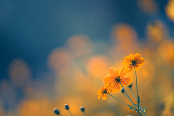 巴厘岛2月的旅游攻略～