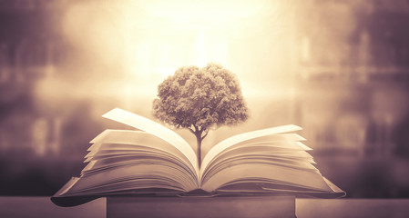 雪佛兰敞篷跑车