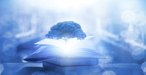 离我最近的违章处理点