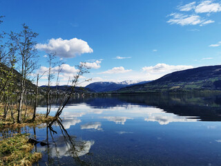 maths和math的区别是什么？