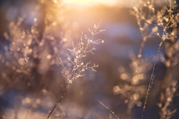 科目二受理中取消预约算不算一次