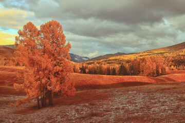 雪佛兰敞篷跑车