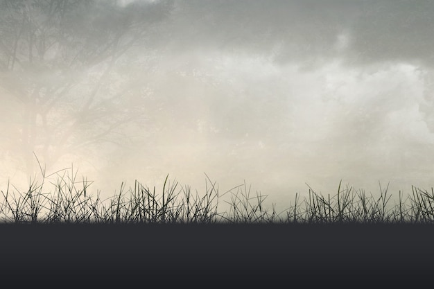 汽车漆面怎么保养