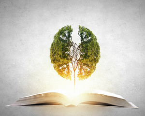 丰田威驰油耗高吗？