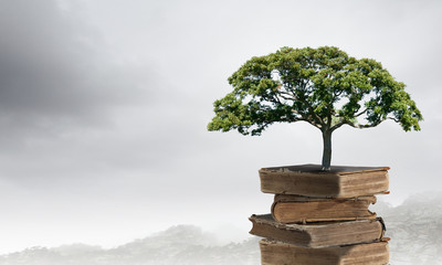 科目二受理中取消预约算不算一次