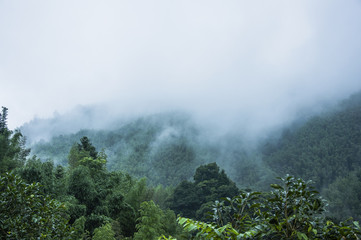 丰田威驰油耗高吗？